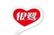 银鹭