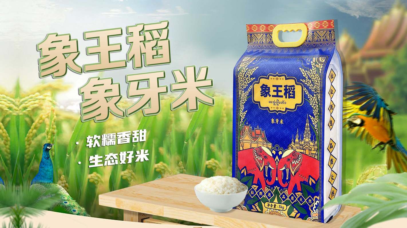 象王稻-象牙米5kg