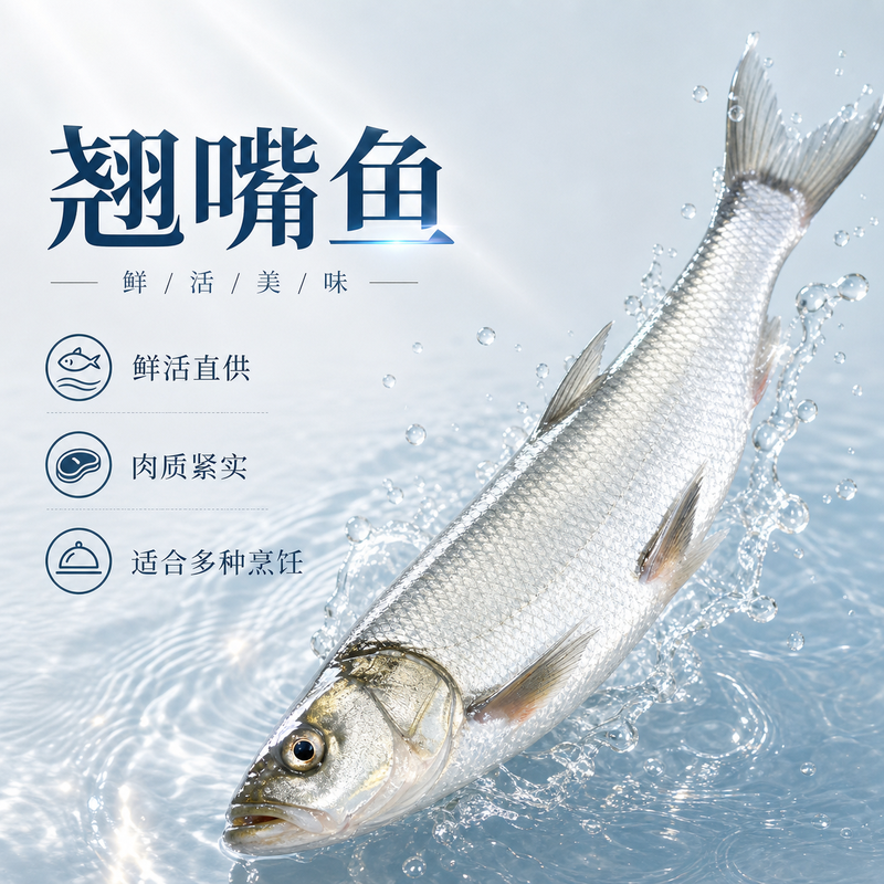 翘嘴鱼