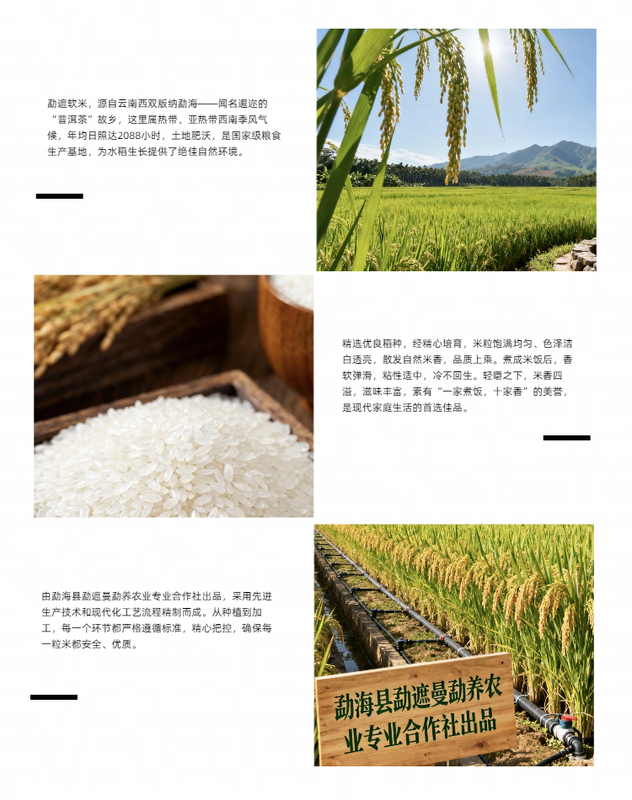 详2.png