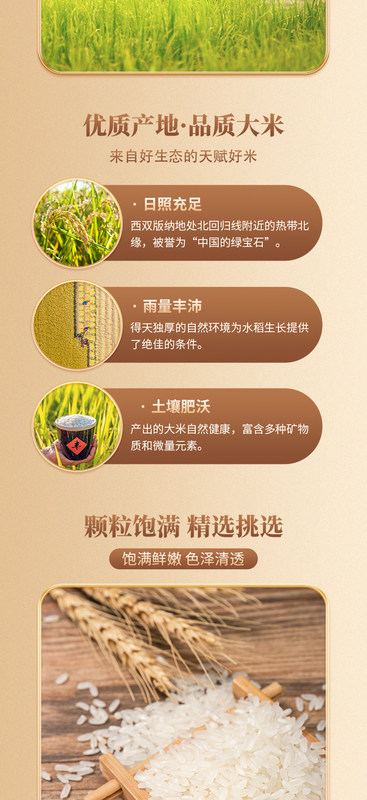 1_02象牙米详图.jpg