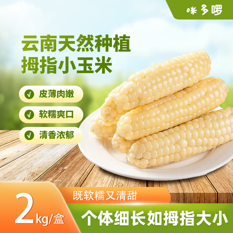 拇指小玉米