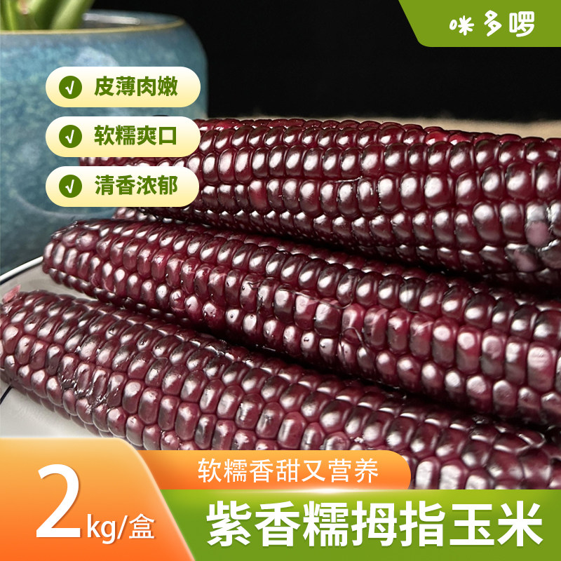紫香糯拇指玉米