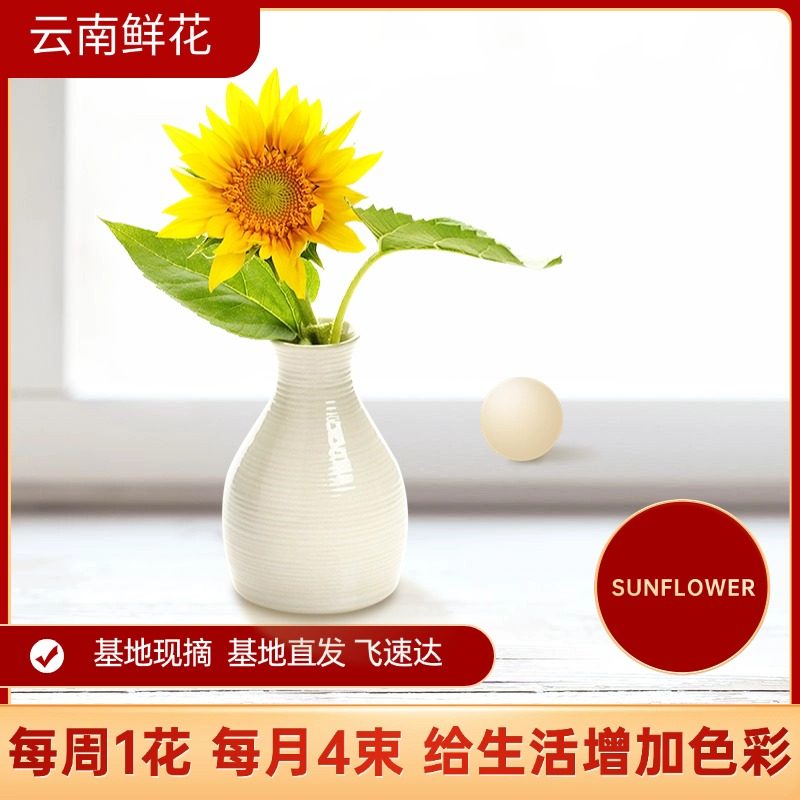 向日葵