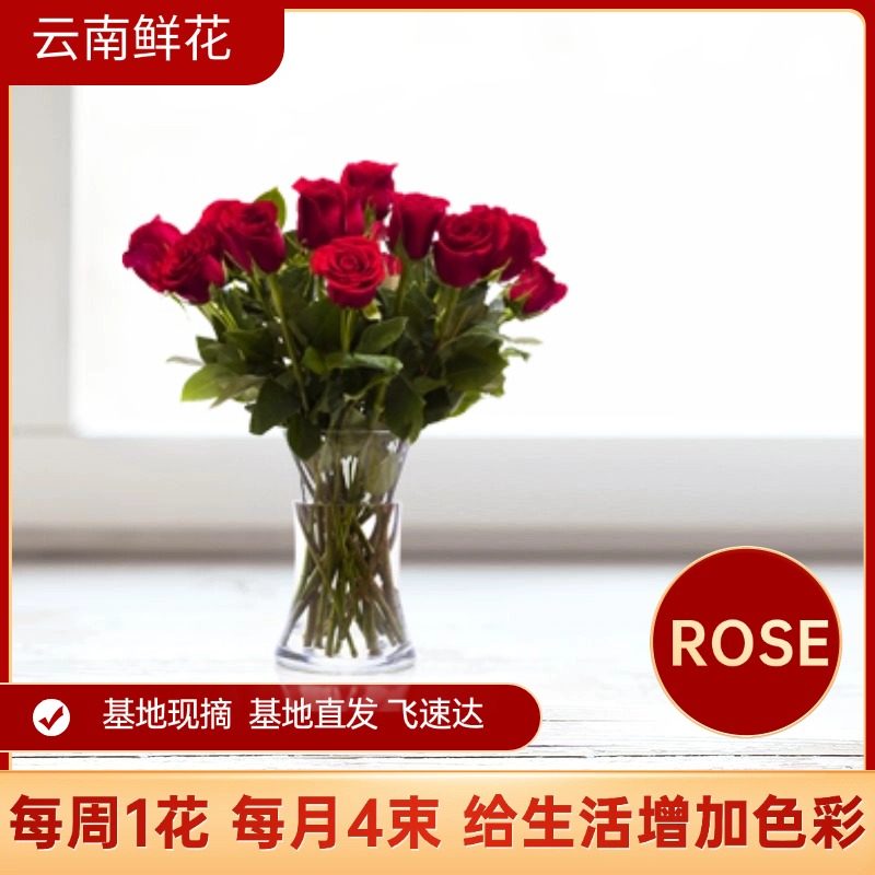 玫瑰