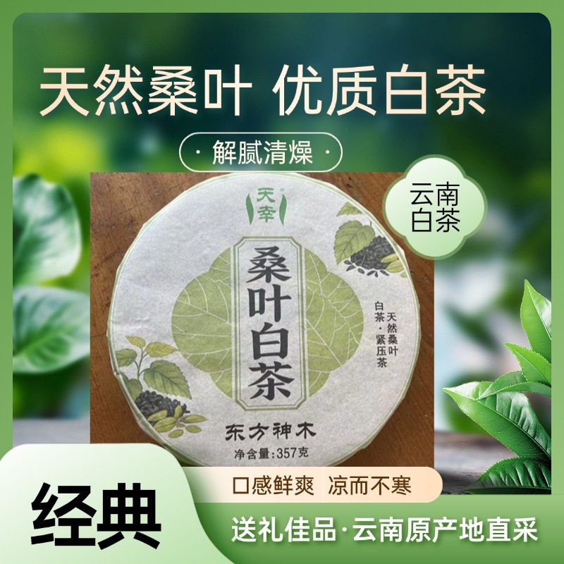 云南白茶-桑叶白茶357g/饼