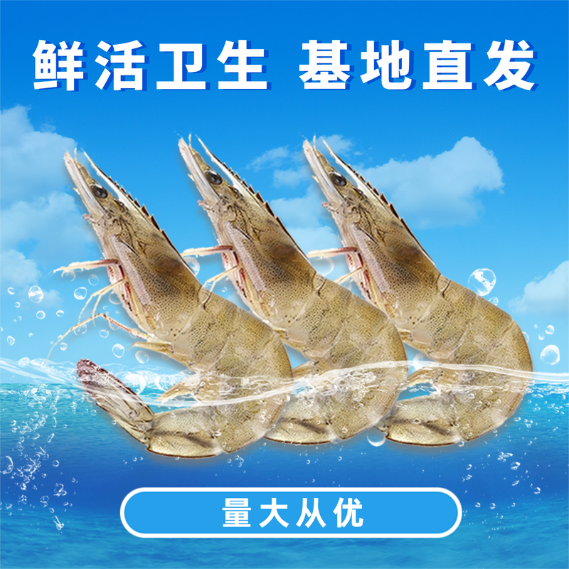 鲜活虾