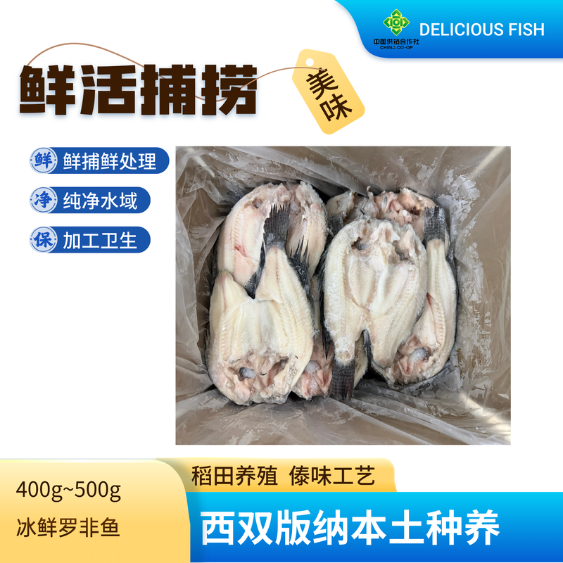 冰鲜罗非鱼400g~500g
