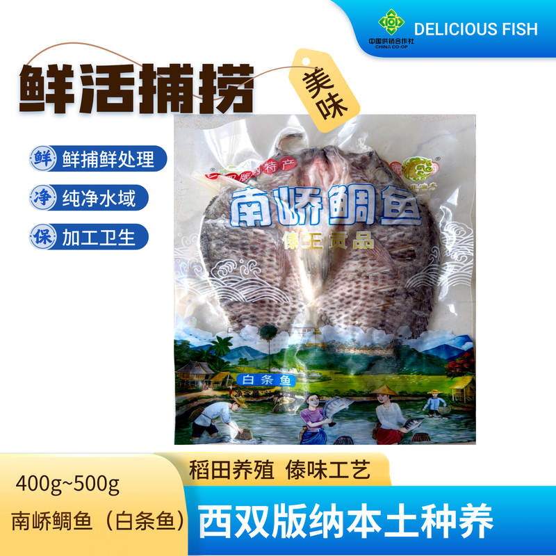 南峤鲷鱼（白条鱼）400g~500g