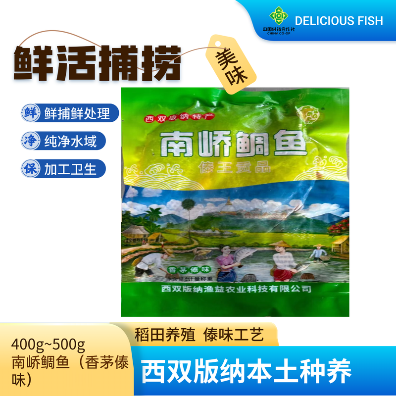 南峤鲷鱼（香茅傣味）400g~500g