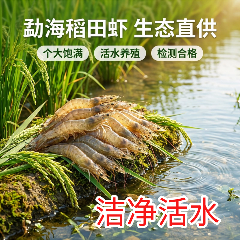 鲜活基围虾