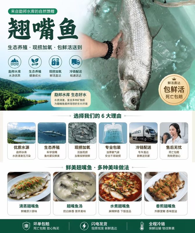 翘嘴鱼01.jpg