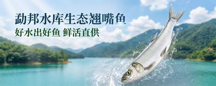 翘嘴鱼