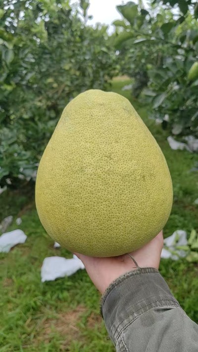 不包邮