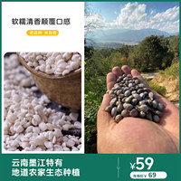 逐南味 墨江糯香薏仁米500克/袋生态种植48~72小时发
