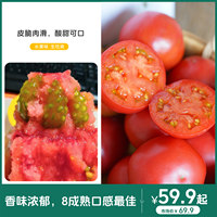甜蜜如初恋塔塔蜜-水果番茄  48-72小时发