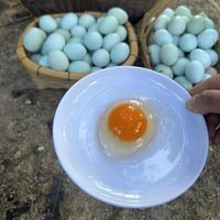 逐南味-云南大山里的跑山鸡蛋 48~72小时发