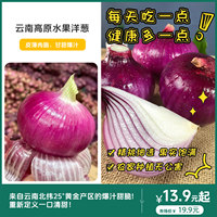 云南高原水果洋葱