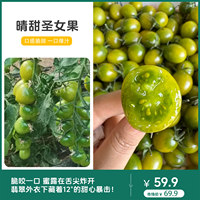 晴甜圣女果【青绿皮小番茄】
