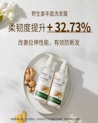 532ml天然之扉野生姜丰盈洗发露