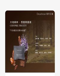 Dearlrean独特艾琳车载香薰（大地森林）