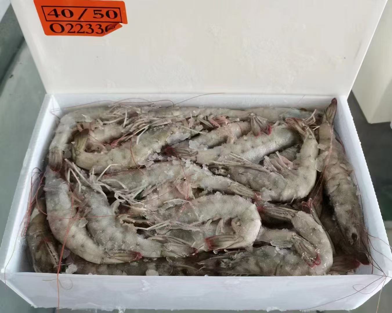厄瓜多尔大青虾(40-50)