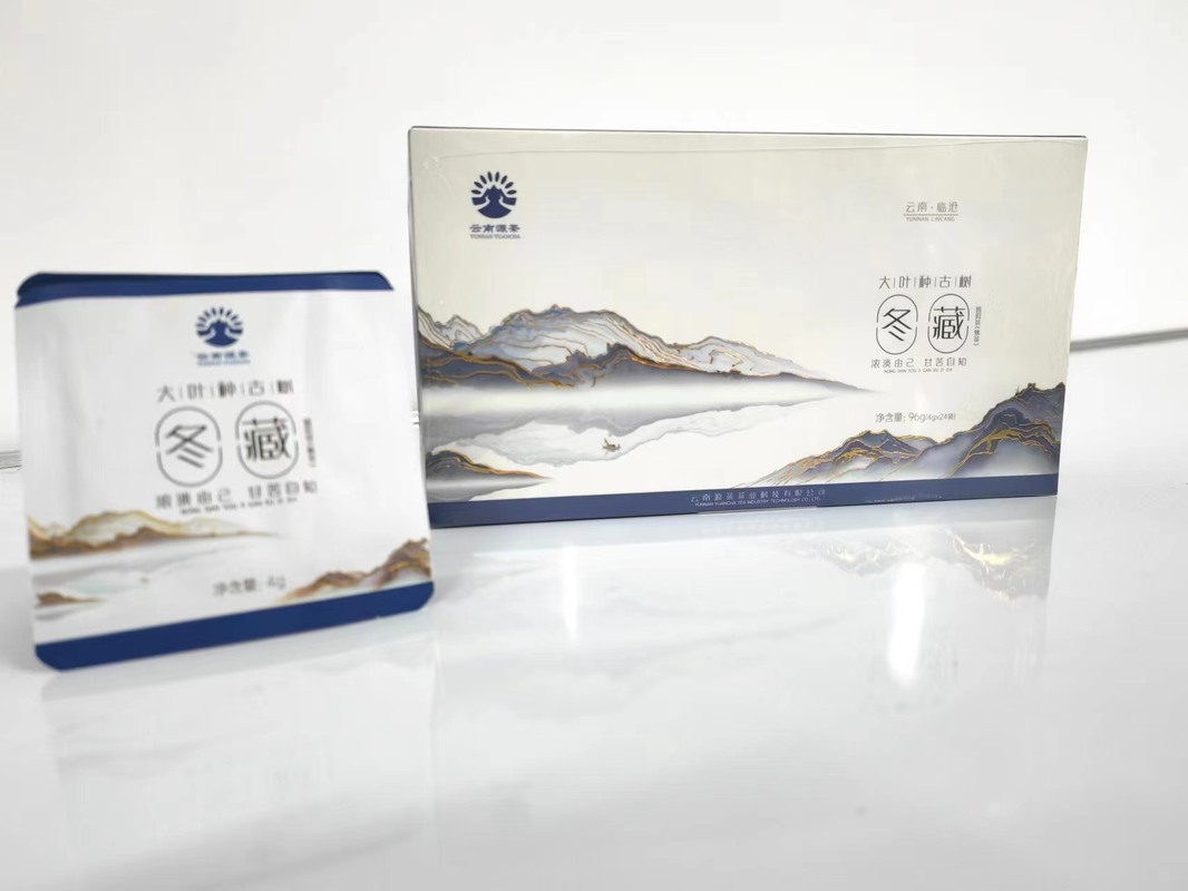 大叶种古树 普洱茶（熟茶）冬藏