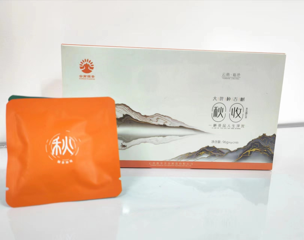 大叶种古树紧压晒红茶秋收