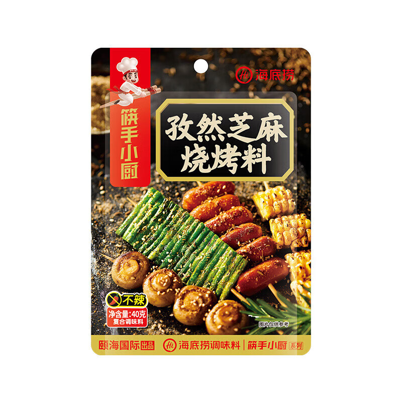海底捞香辣孜然烧烤料40*60包